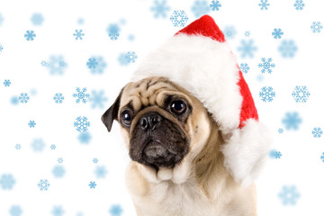 christmas dog and snow flakes