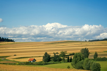 Fototapeta premium Landwirtschaft