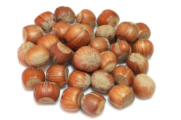 nocciole su sfondo bianco
