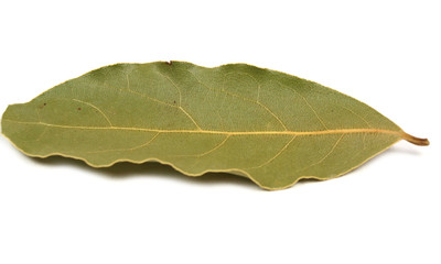 Obraz premium Bay leaf on white background