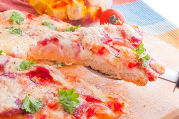 cheese and tomato pizza ..