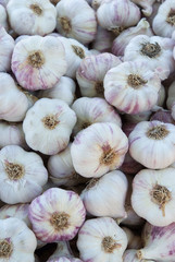 marché Provencal étalage d'ail