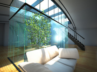 Modern empty interior with plant and sofa