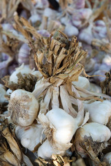 marché Provencal étalage d'ail