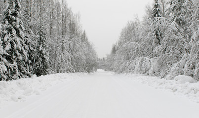 winter road