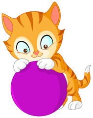 Cute kitty playing with big ball