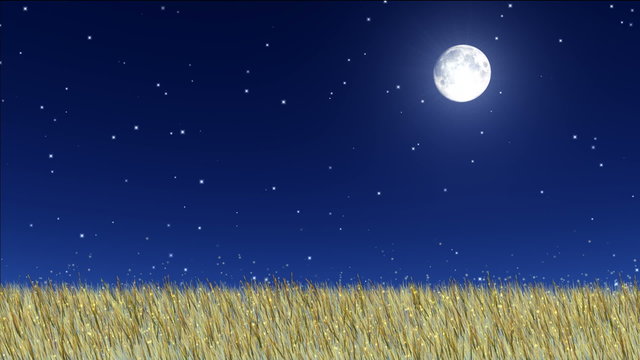 stars twinkle in the night sky, firebugs fly in meadows