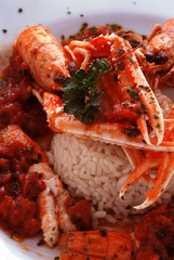 Risotto di scampi - Primi piatti