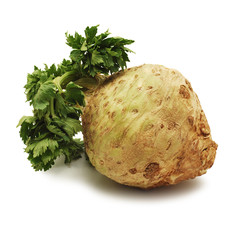 celery root © Ionescu Bogdan
