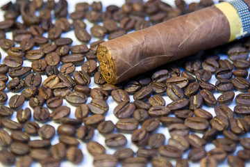Cuban cigar on coffee beans background
