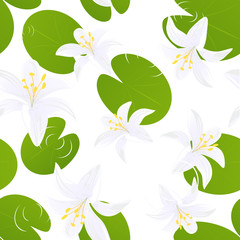 Seamless lily isolated background