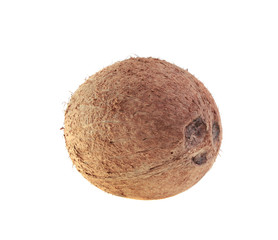 coconut, isolated.