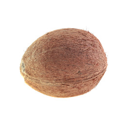 coconut, isolated.
