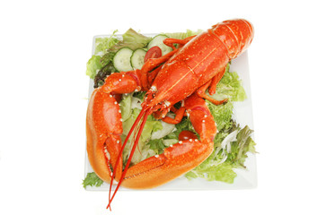 Lobster on salad