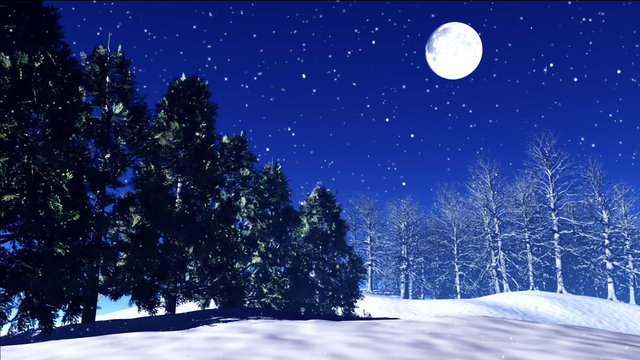 stars twinkle, snow fall, trees shake in wind.