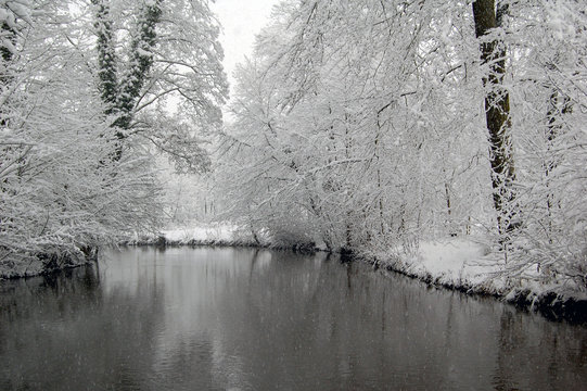 Branches recouvertes de neige au-dessus d'une rivière