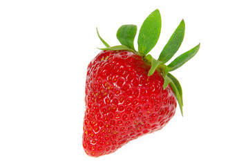 Erdbeere freigestellt - strawberry isolated 05