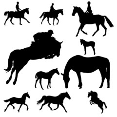 Vector Silhouettes of Horses
