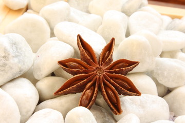 Star anise / 八角