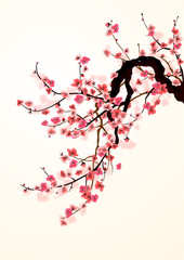 Sakura - obrazy, fototapety, plakaty