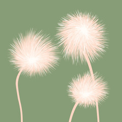 Obraz premium Stylized dandelions