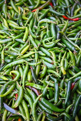 green chilli
