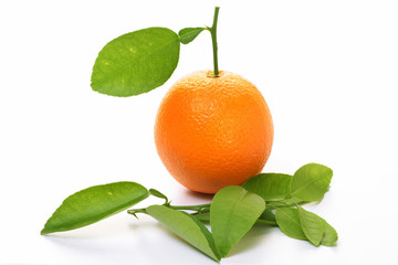Orange fruit on white