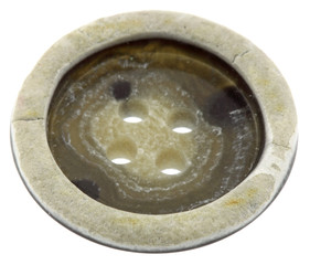 bouton corne fond blanc