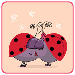ladybugs in love