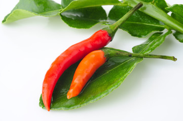 pepper in kaffir lime leaf