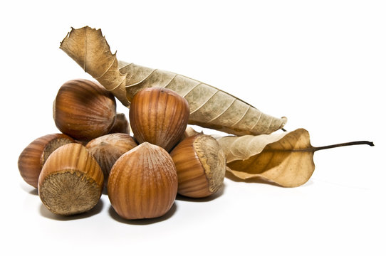 Decoraci&oacute;n con avellanas y hojas