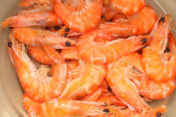 Shrimps background