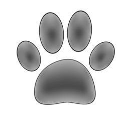 Paw print isolated on white background