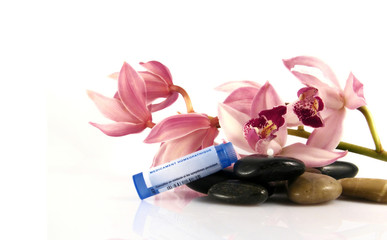 Obraz na płótnie Canvas Homeopathic pills