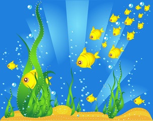 Obraz premium golden fishes