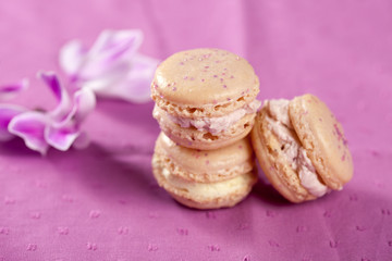 Delicate macarons