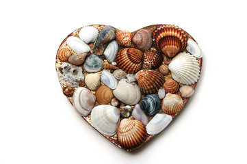 heart