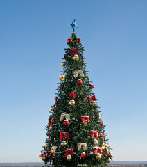 Christmas tree on sky background