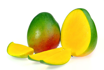 Mango 13