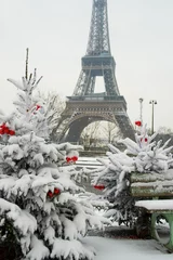 Fotobehang Rare snowy day in Paris. The Eiffel Tower and decorated Christma © Ekaterina Pokrovsky