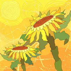Sunflowers