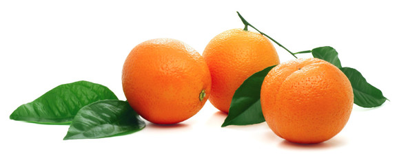 Ripe oranges with green leaves.