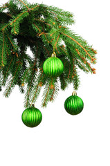 Pine branches and Christmas decoration