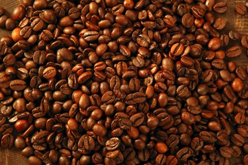 Coffee beans in warm golden brown background