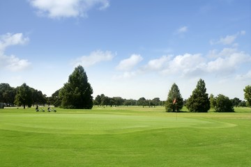 Naklejka premium Green Golf grass landscape in Texas