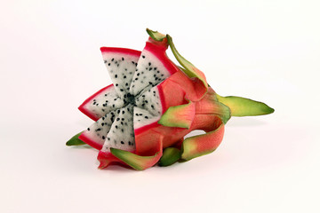 drachenfrucht3