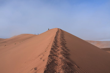 Fototapeta na wymiar Sossusvlei big daddy sand dune national park