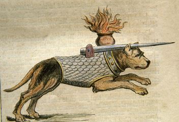 gravure d'un chien de guerre
