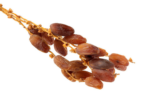Dattes de Tunisie