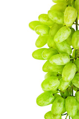 Green grapes isolated on white background